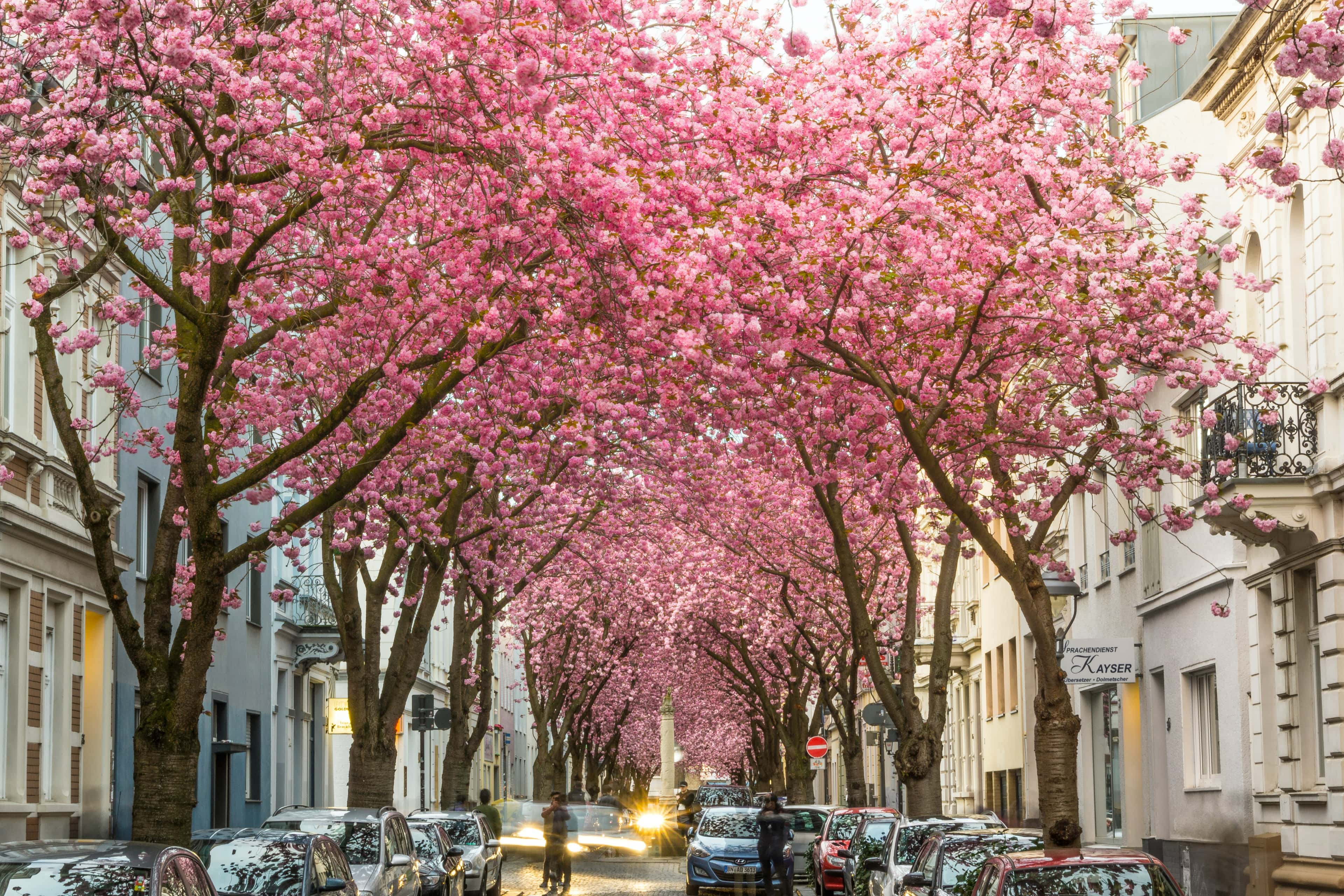 Stellenangebote in Bonn